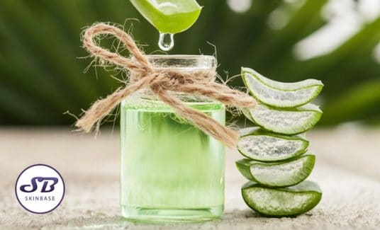 Three Homemade Skin Spritz Recipes – Refresh Your Skin